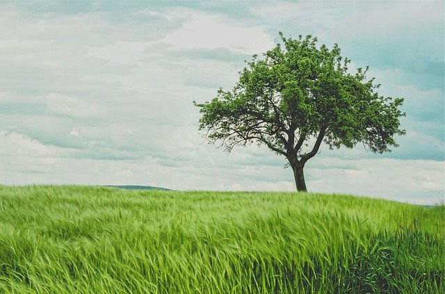 Comment faire pour protéger la nature?