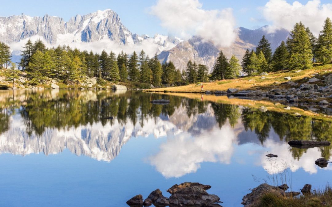 Qu’est-ce que la crise de la biodiversité ?